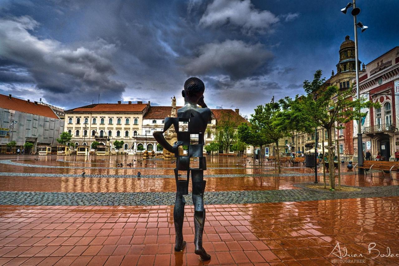 Take Pro Timisoara Apartment Kültér fotó