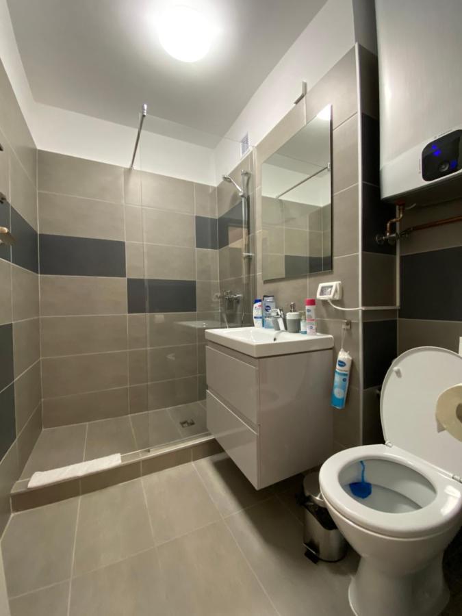Take Pro Timisoara Apartment Kültér fotó