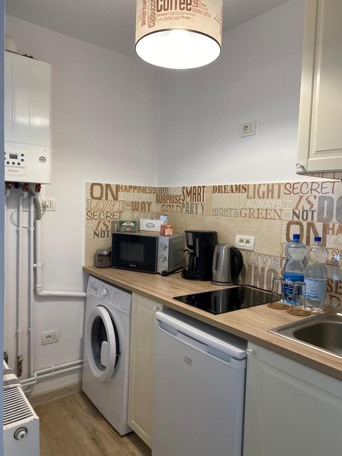 Take Pro Timisoara Apartment Kültér fotó